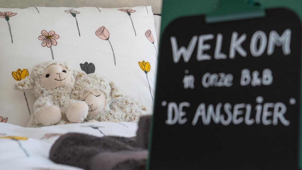 Bed and Breakfast De Anselier Ansen Exterior foto